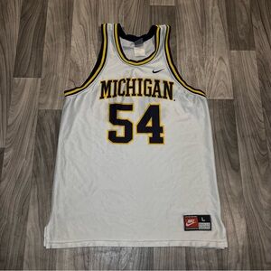SIZE LARGE NIKE MICHIGAN WOLVERINES ROBERT TRAYLOR #54 NCAA BASKETBALL JERSEY